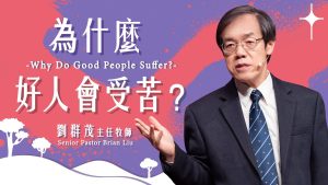 2025年02月17日更新（合集·更新）02