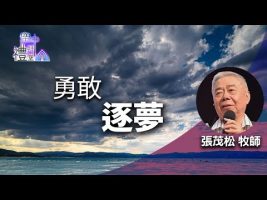 2025年02月27日更新（合集·更新）02