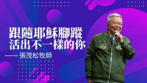 2025年02月28日更新（合集·更新）01