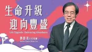 2025年03月18日更新（合集·更新）