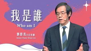 2025年04月23日更新（合集·更新）