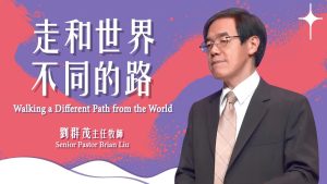 每周合集 2025年07月10日更新（合集·更新）02