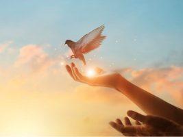 7月T会·徐心敏《成为炼净的器皿/预备新皮袋，迎接复兴/预备新皮袋迎接复兴》合集（3场+PPT下载）