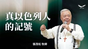 2025年11月19日合集