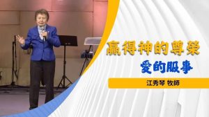 11月 28 号更新合集｜每周更新